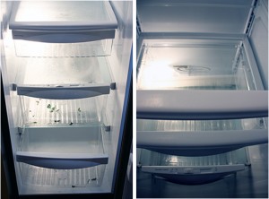 08-Clean-Fridge